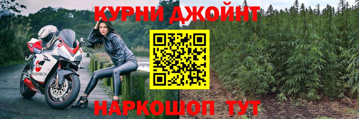 Конопля сатива Армавир
